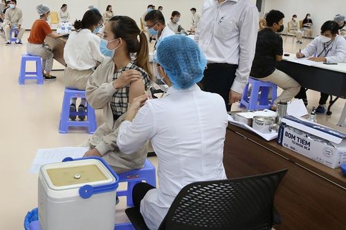 Bộ Y tế yêu cầu nâng cao năng lực bảo quản vaccine COVID-19 toàn tuyến