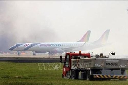 Cháy rừng khiến sân bay lớn nhất Bolivia phải đóng cửa tạm thời