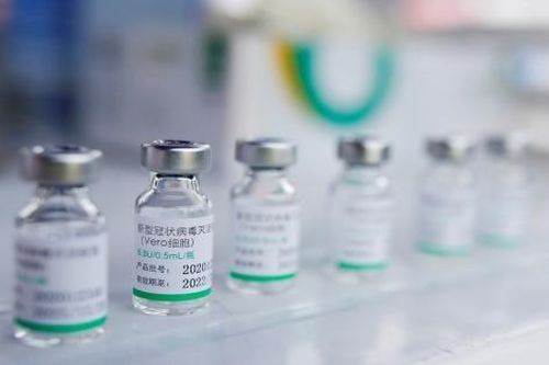 Vaccine Covid-19: Indonesia tiếp nhận 8 triệu liều Sinopharm, quyết sớm đạt mục tiêu tiêm chủng