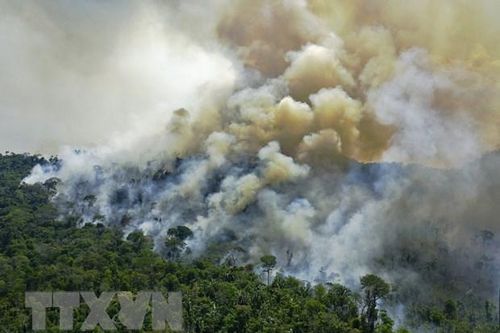 Giới khoa học lo ngại sẽ chứng khiến thêm nhiều thảm họa thiên nhiên