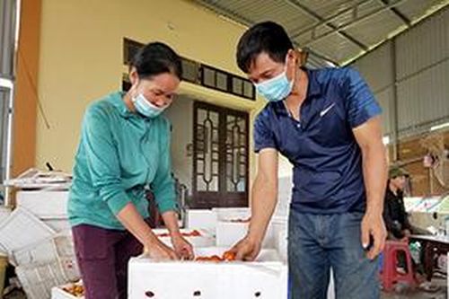 Anh Chỏi nỗ lực vượt khóTin khácPhát huy vai trò công tác tuyên giáo, tạo đồng thuận xã hôịSáng mãi truyền thống 'uống nước nhớ nguồn'