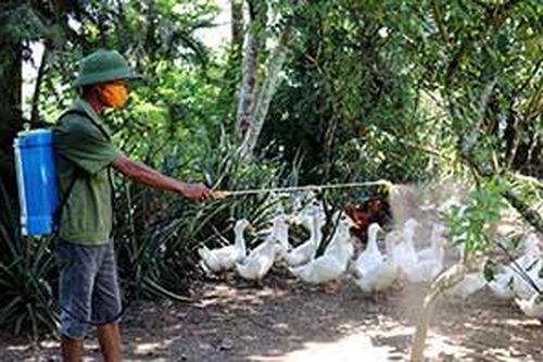 Tràng Định: Tăng cường phòng, chống cúm gia cầmTin khácPhát huy vai trò công tác tuyên giáo, tạo đồng thuận xã hôịSáng mãi truyền thống 'uống nước nhớ nguồn'