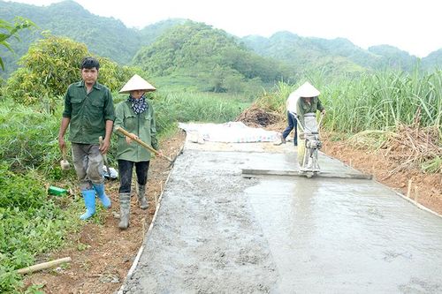 Vinh Quang - điểm sáng bê tông hóa đường giao thông nông thôn