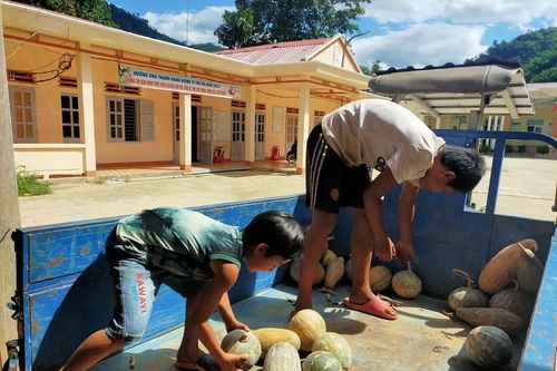 Đồng bào vùng sạt lở Trà Leng gom trái bí, đọt măng sẻ chia vùng tâm dịch