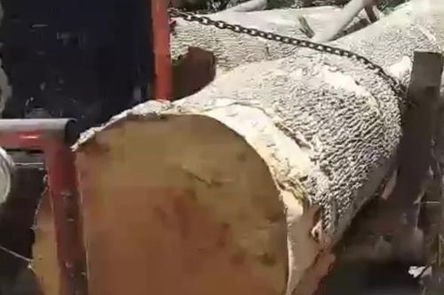 40 đối tượng bao vây lực lượng bảo vệ rừng, cướp tang vật