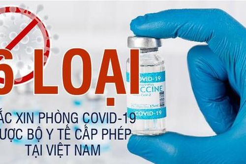 6 loại vắc xin phòng COVID-19 được cấp phép tiêm tại Việt Nam