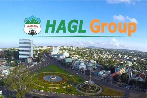 Hoàng Anh Gia Lai muốn giảm lỗ lũy kế bằng thặng dư vốn