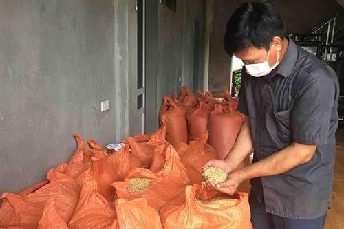 Kinh tế TRUYỀN HÌNH INTERNET Lai Châu qua ảnh