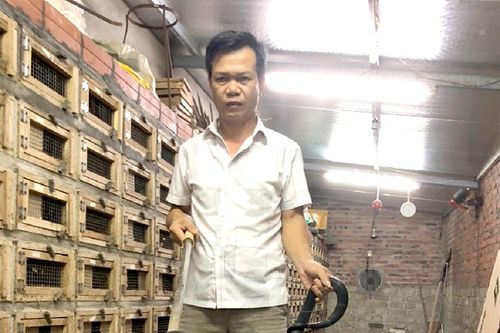 Nghề nuôi rắn đem lại hiệu quả kinh tế cao