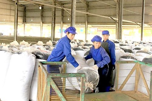 Giải pháp thu ngân sách bền vững