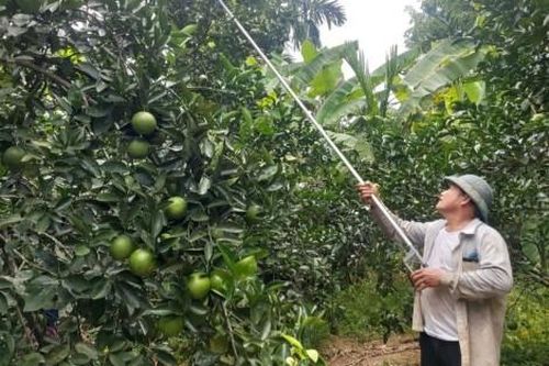 Kinh tế Nông nghiệp - Nông thôn Nam Đông cần nâng cao giá trị thu nhập trên diện tích đất canh tác