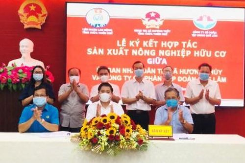 Kinh tế Nông nghiệp - Nông thôn Hương Thủy hướng tới nền nông nghiệp bền vững
