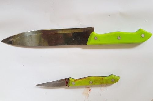 Khởi tố thanh niên đâm 2 cảnh sát