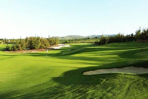 Tạm đình chỉ công tác Phó Cục trưởng Cục Thuế đi chơi golf trong lúc giãn cách xã hội