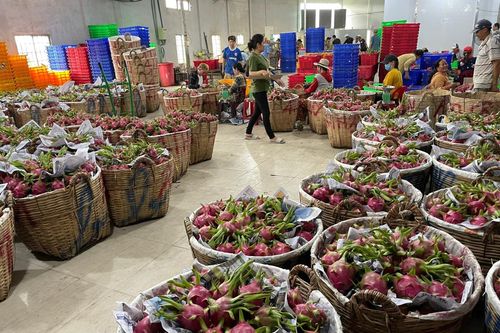 Bộ NN&PTNT đề xuất giải pháp kích cầu sản xuất nông nghiệp khu vực phía nam