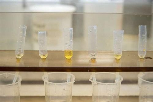 Mối liên hệ giữa sự gia tăng đột biến oxy và tuyệt chủng toàn cầu