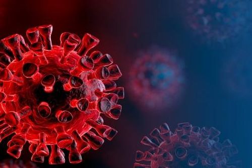 Virus SARS-CoV-2 và cuộc chiến không hồi kết