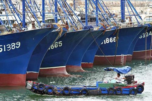 Bão Lupit khiến hàng chục nghìn người Trung Quốc phải sơ tán