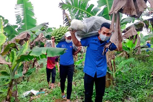 Tiếp lửa tình nguyện trong đại dịch COVID-19