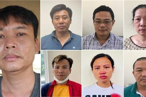 Mở rộng điều tra vụ nâng khống giá cây xanh để trục lợi ở Hà Nội