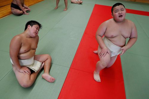 Lò đào tạo sumo ở Nhật Bản