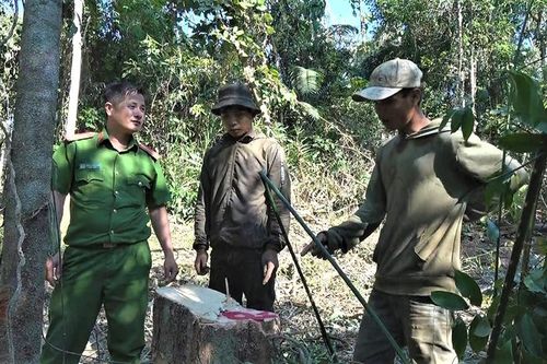 Liên tiếp xảy ra các vụ 'lâm tặc' táo tợn cướp tang vật