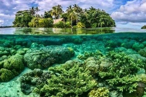 Để cứu san hô, Thái Lan cấm sử dụng kem chống nắng
