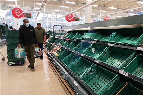 Ngành vận tải đường bộ của Anh rơi vào khủng hoảng do Brexit và COVID-19
