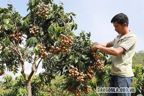 Việc học và làm theo Bác đã trở thành thường xuyên