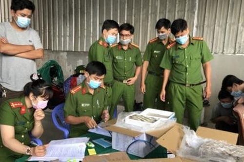 Bơm rau câu vào tôm để tăng trọng lượng, bị phạt 70 triệu, tịch thu 12,5 tấn tôm