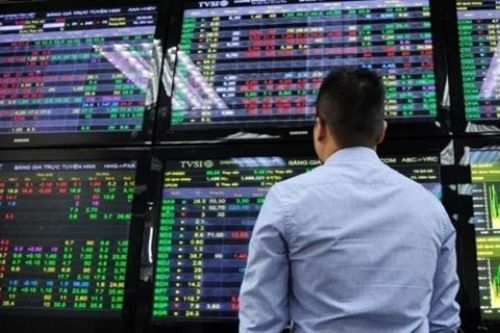 Báo cáo sai hạn, một cá nhân bị phạt 45 triệu đồng