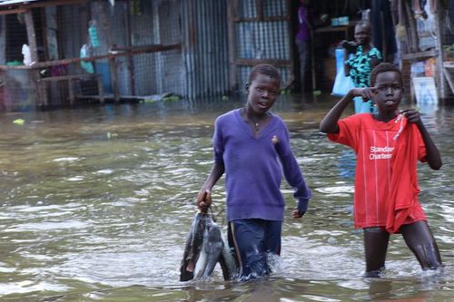 Lũ lụt tại Nam Sudan khiến 90.000 người dân bị ảnh hưởng