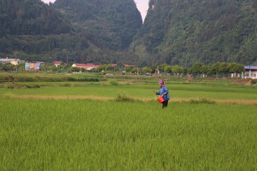 Trăm gánh nặng mùa màng
