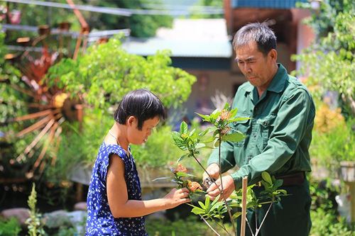 Vượt lên nỗi đau da cam