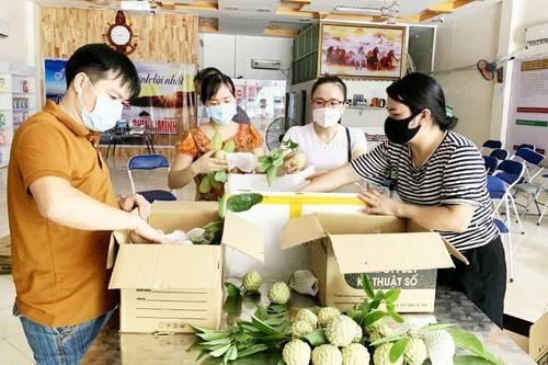 Hội Nông dân tỉnh hỗ trợ tiêu thụ na của nông dân huyện Yên Sơn