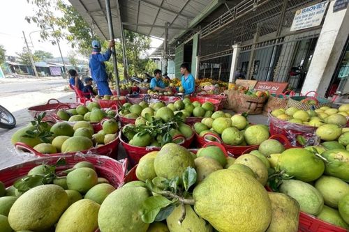Nỗ lực khắc phục tình trạng nông sản 'cung thừa, cầu thiếu' tại một số tỉnh, thành phố phía Nam