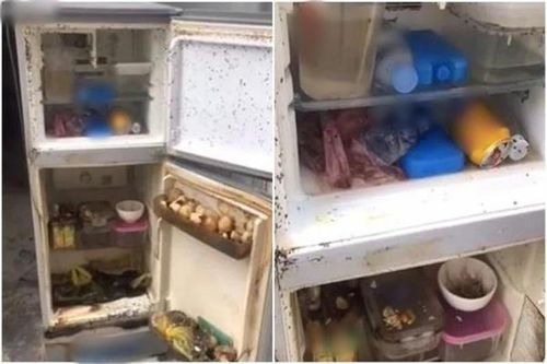 Nghỉ dịch quá lâu, sinh viên 'té xíu' cảnh tượng trong phòng trọ