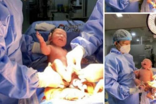 TP. HCM: Khẩn trương xác minh thông tin 'bác sĩ nhường máy thở của ba mẹ để cứu sản phụ song thai'