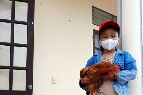 Bé 8 tuổi ôm một con gà, bao gạo, bí đỏ đến ủng hộ khu cách ly