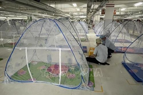 Doanh nghiệp kiến nghị điều chỉnh '3 tại chỗ' để đảm bảo sản xuất