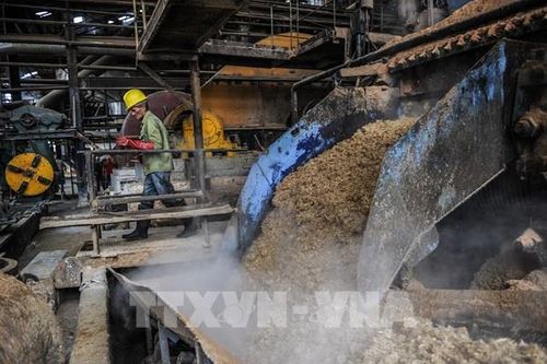 Khung pháp lý cho các doanh nghiệp vừa và nhỏ ở Cuba