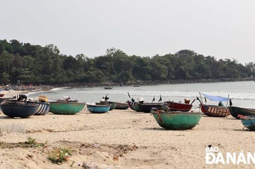 Nghề 'săn' đồ biển ở Nam Ô