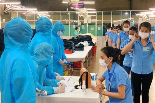 Tất cả F1 của Công ty May Hòa Thọ Đông Hà và siêu thị Co.opmart đều âm tính với SARS-CoV-2