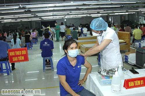 Phù Yên triển khai tiêm vắc-xin phòng COVID-19 cho công nhân