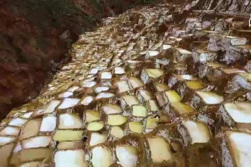 Độc đáo ruộng muối bậc thang nghìn năm tuổi ở Peru