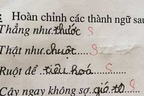 Học trò lớp 1 điền thành ngữ, giáo viên đọc xong muốn 'trầm cảm', nhưng dân mạng lại thi nhau chấm 10 điểm!