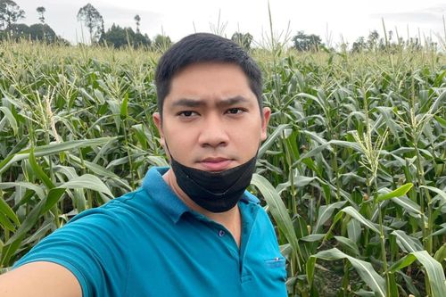 Minh Luân thu mua ba tấn ngô giúp người dân Đồng Tháp