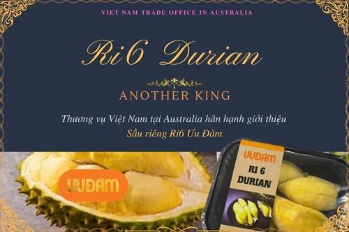 Sầu riêng Ri6 Việt Nam 'cháy hàng' tại Australia