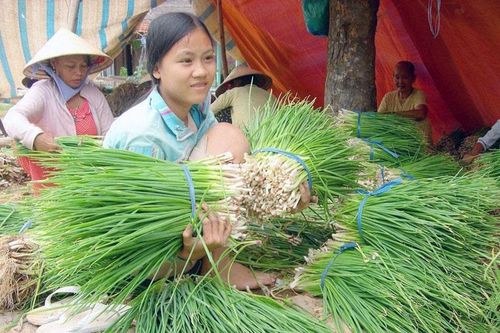 Tập trung gỡ khó, bảo đảm sản xuất nông nghiệp ở các tỉnh Nam Bộ