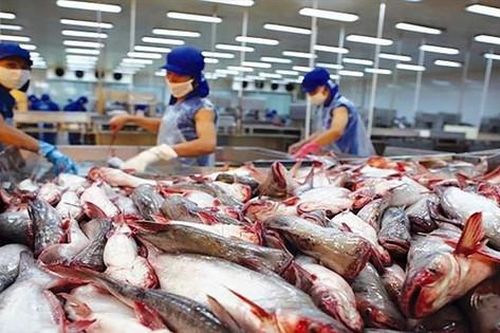 Thế giới đang cần nhập thủy sản Việt Nam, nhưng nhiều nhà máy lại đóng cửa